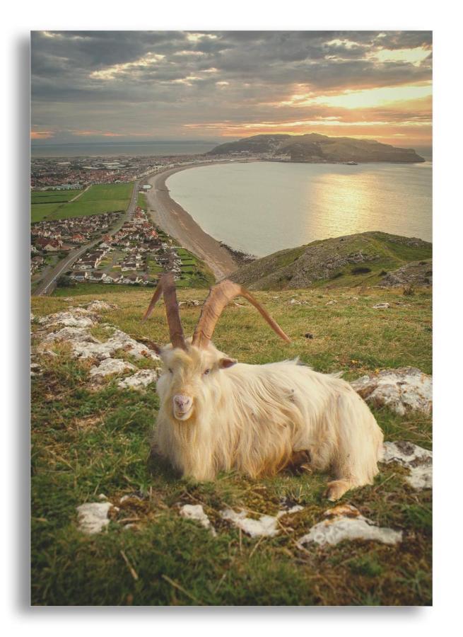 Adcote House (Adults Only) Hotel Llandudno Bagian luar foto